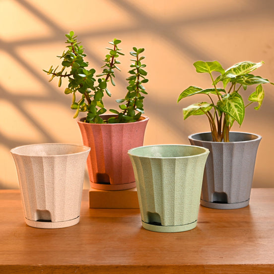 Ace Planter 5" Set of 4