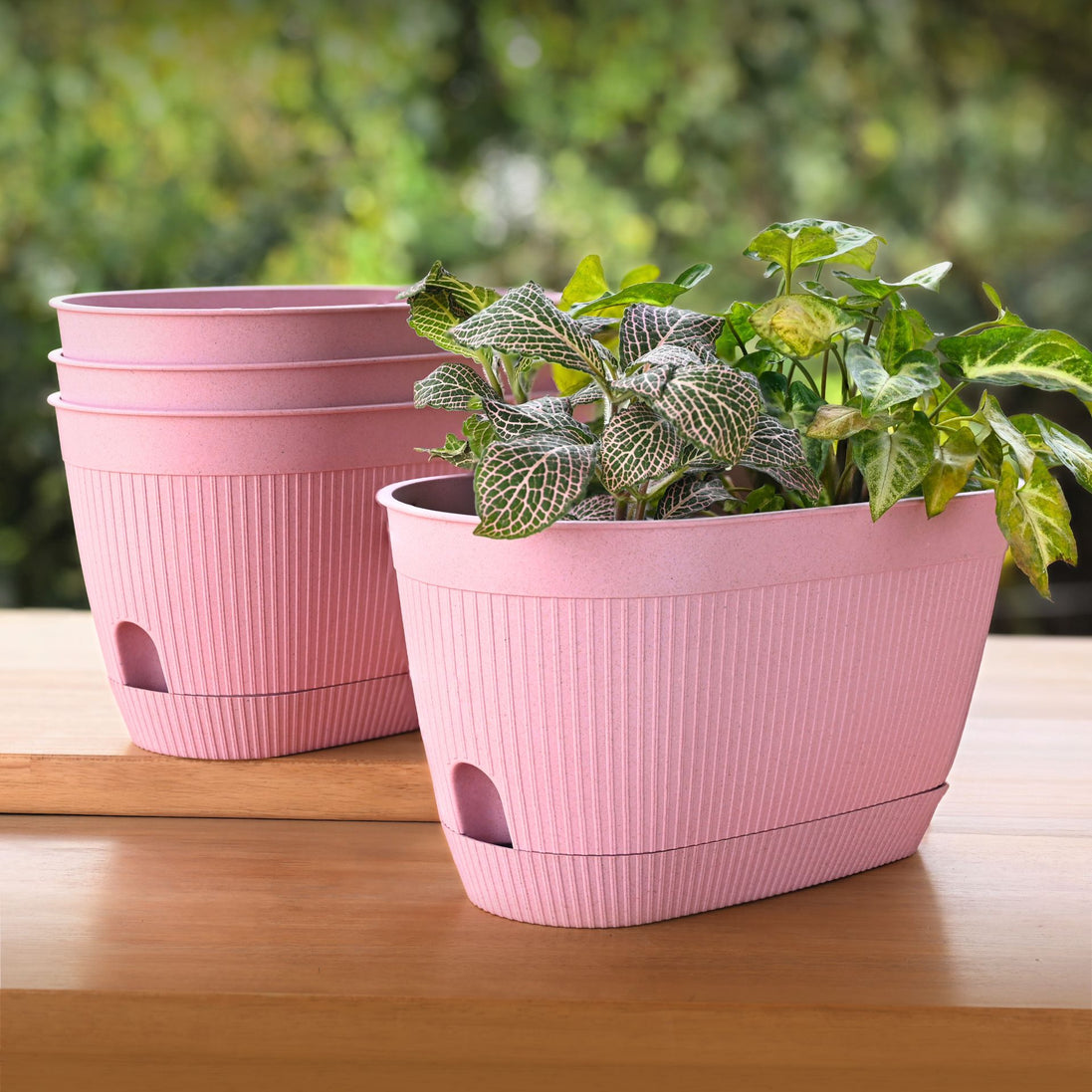 Eva Planter 11.5"-Set of 4