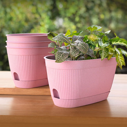 Eva Planter 11.5"-Set of 4