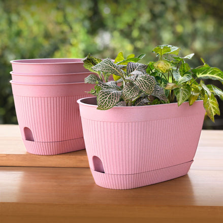 Eva Planter 11.5"-Set of 4