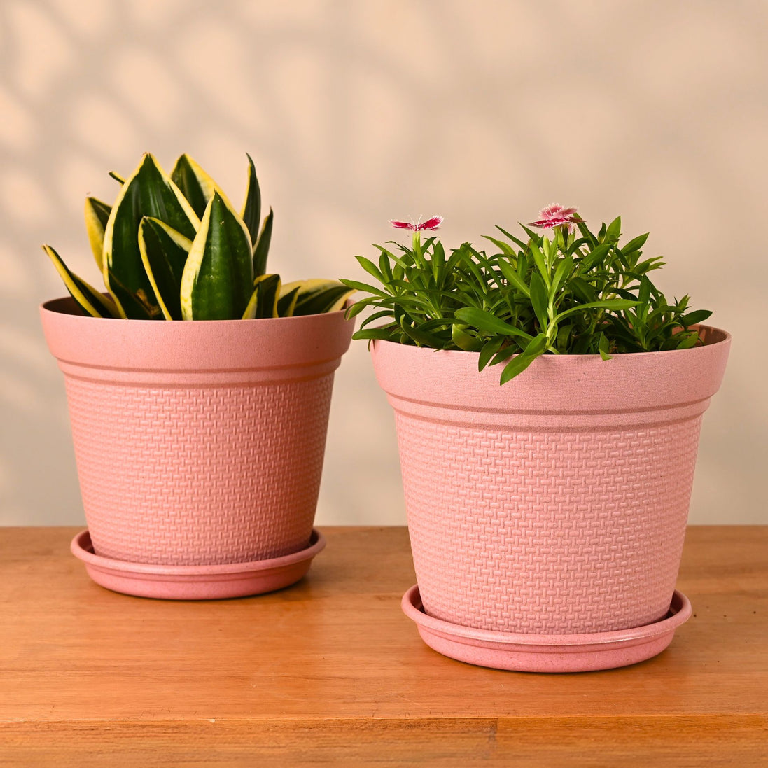 Aura Planter 8" Set of 2