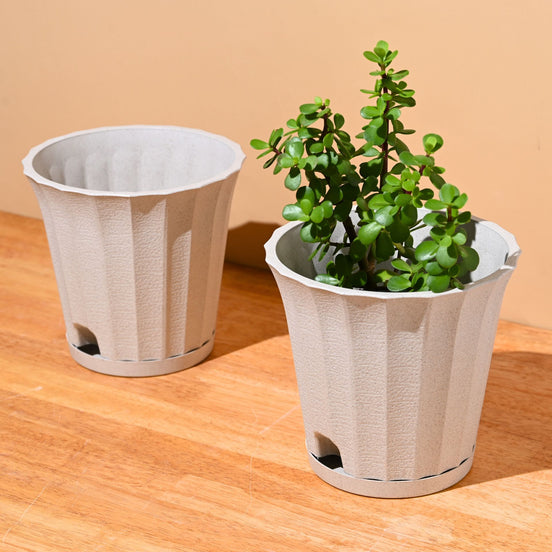 Ace Planter 7" Set of 2