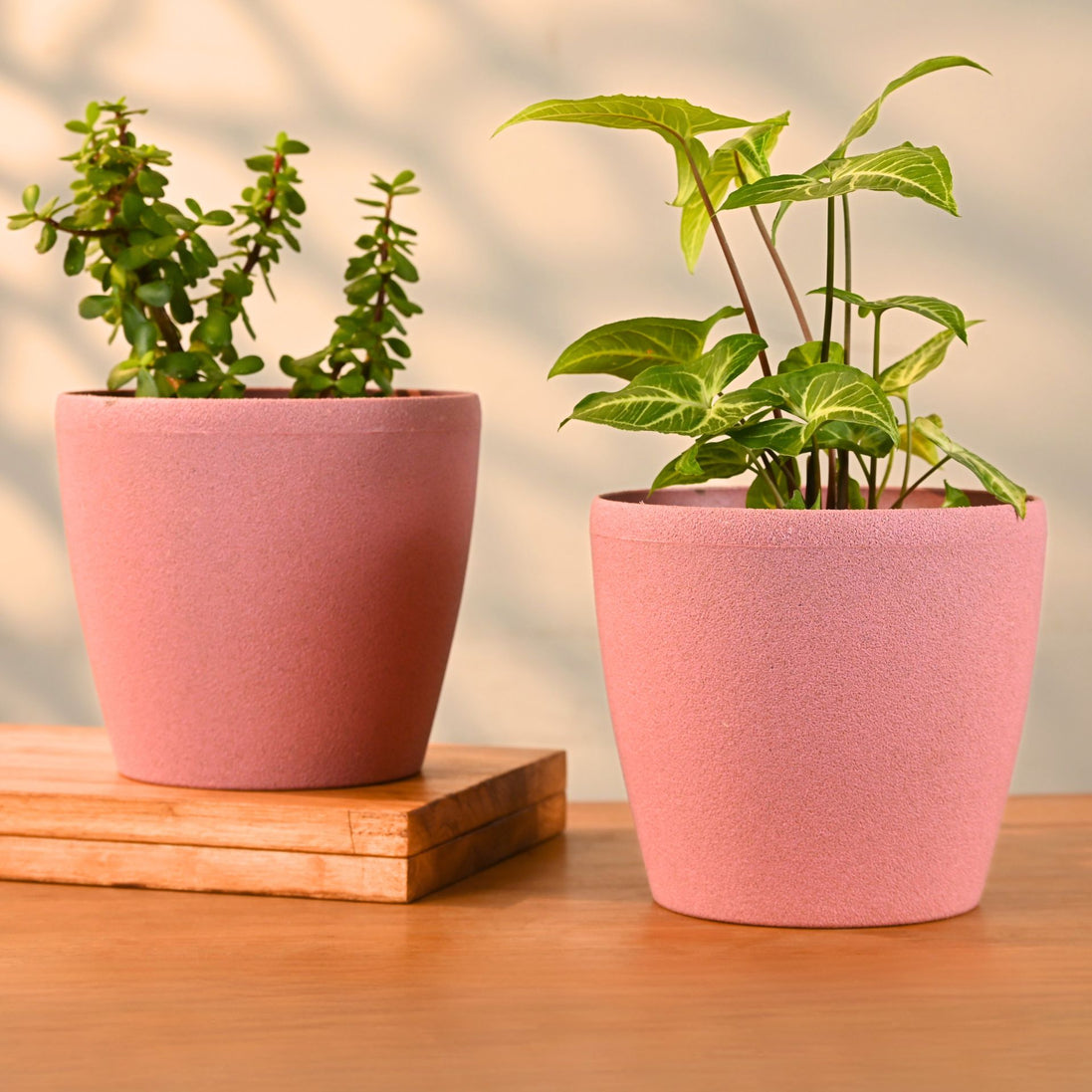 Deco Planter 7" Set of 2
