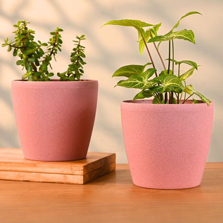 Deco Planter 7" Set of 2