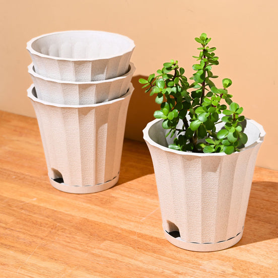 Ace Planter 7" Set of 4
