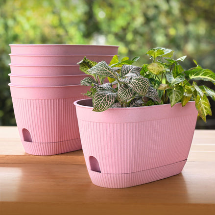 Eva Planter 11.5"-Set of 6