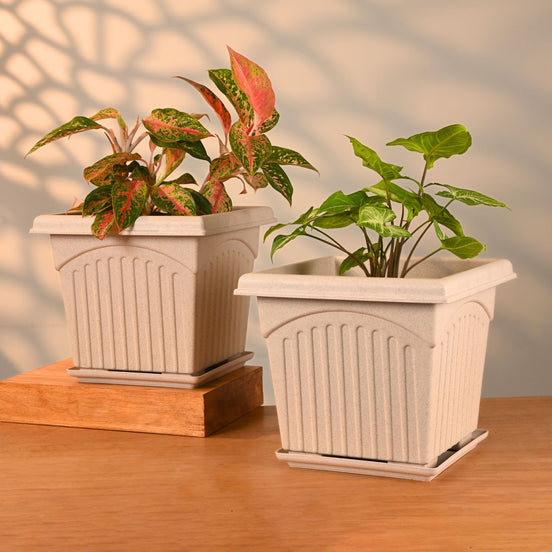Archway Planter 10" Set of 2