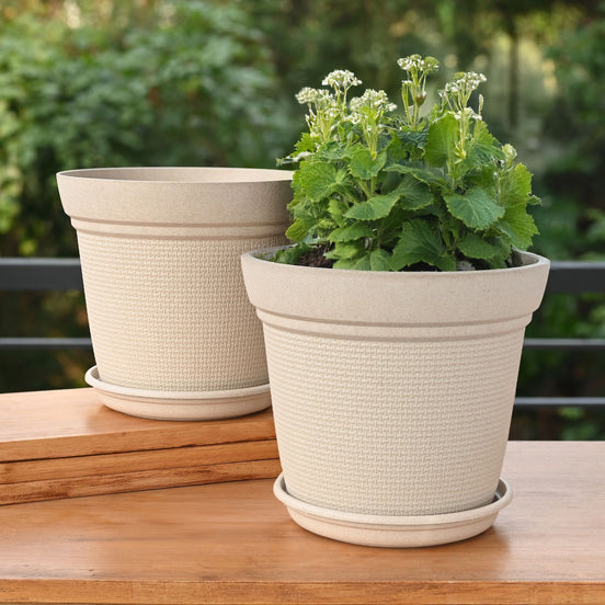 Aura Planter 10" Set of 2