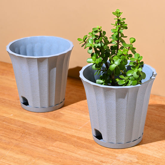 Ace Planter 7" Set of 2