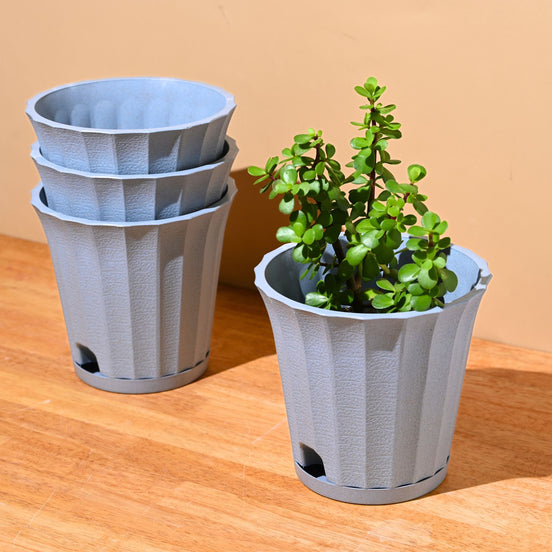 Ace Planter 7" Set of 4