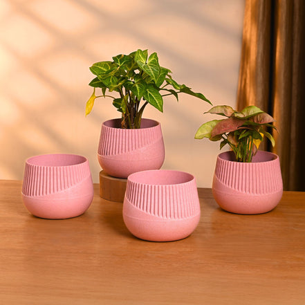 Oreo Planter 4" Set of 4
