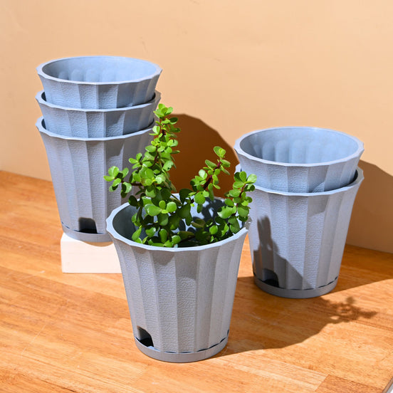 Ace Planter 7" Set of 6