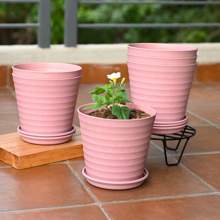 Linea Planter 7.5 " | Set of 6