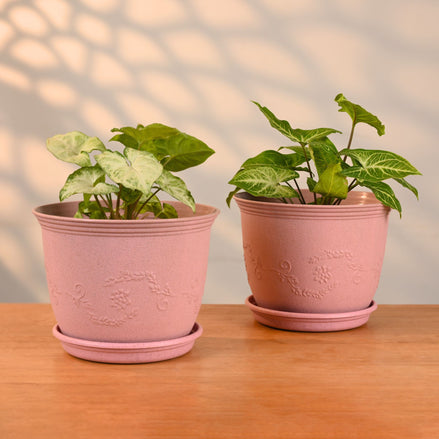 Leafy Planter 8" Set of 2