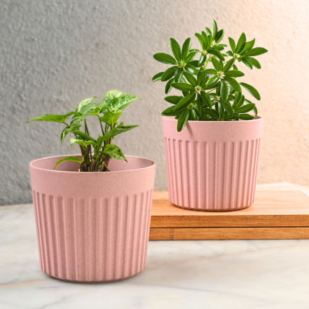 Romano Pot 6" Set of 2