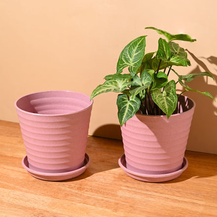 Linea Planter 5.5 " | Set of 2