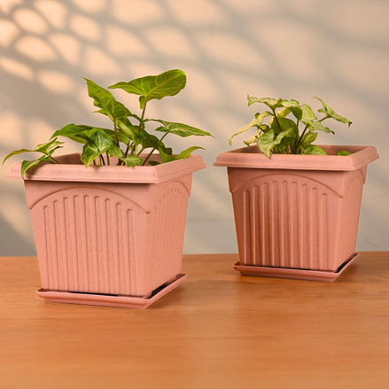 Archway Planter 8" Set of 2