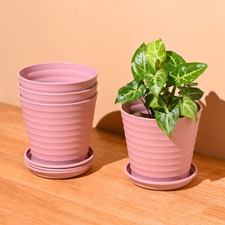 Linea Planter 5.5 " | Set of 4