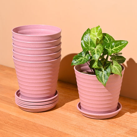 Linea Planter 5.5 " | Set of 6