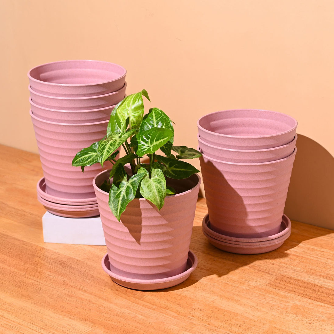 Linea Planter 5.5 " | Set of 8