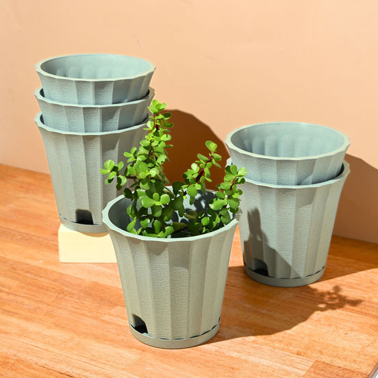 Ace Planter 7" Set of 6