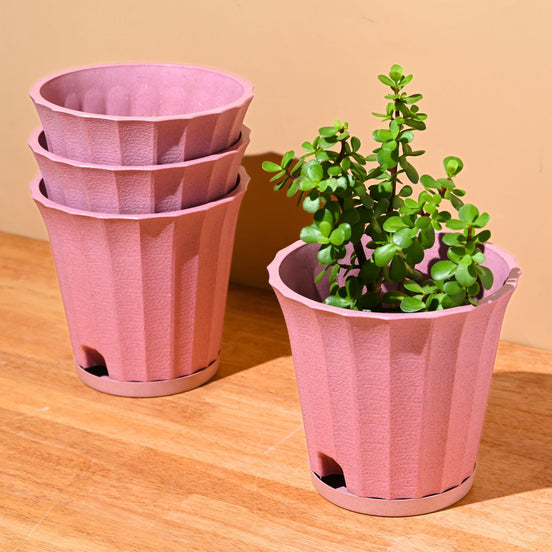 Ace Planter 7" Set of 4