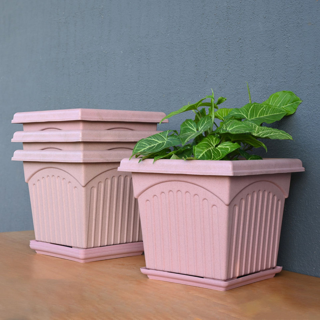 Archway Planter 12" Set of 4