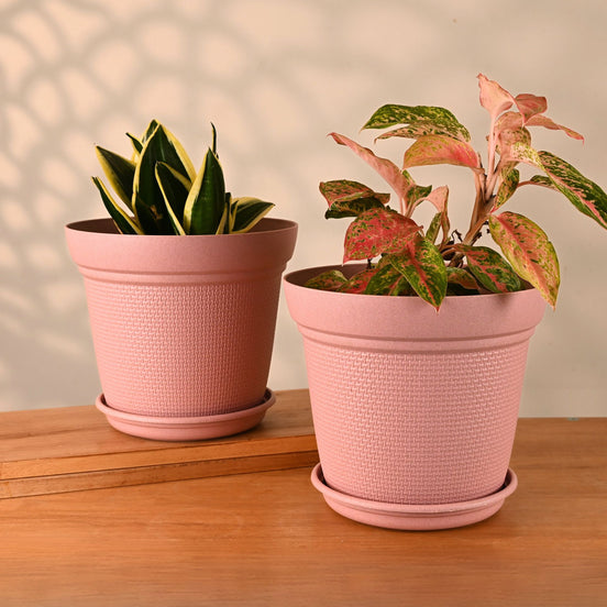 Aura Planter 10" Set of 2