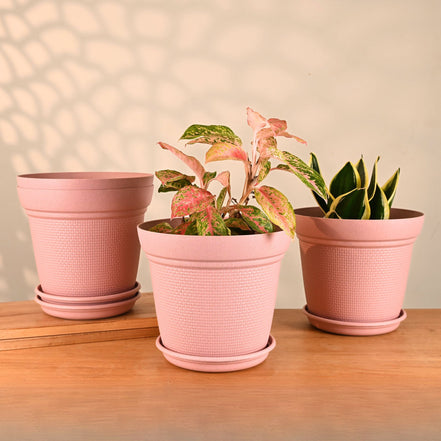 Aura Planter 10" Set of 4