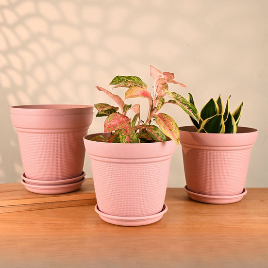 Aura Planter 10" Set of 4