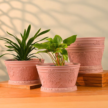 Nile Pot 9.5" Set of 4