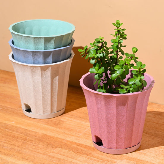 Ace Planter 7" Set of 4