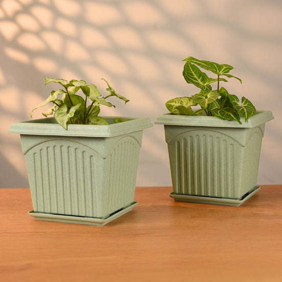 Archway Planter 8" Set of 2