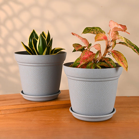 Aura Planter 10" Set of 2