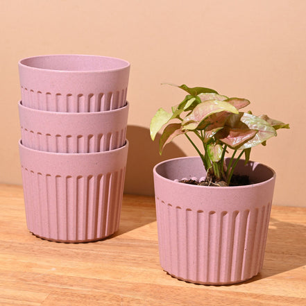 Romano Pot 5" Set of 4