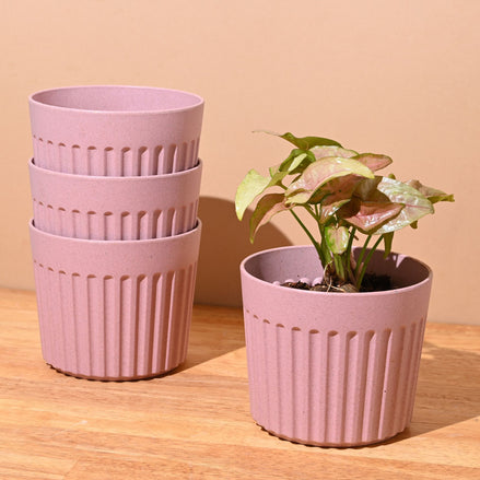 Romano Pot 5" Set of 4