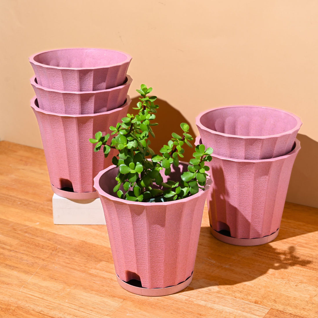 Ace Planter 7" Set of 6