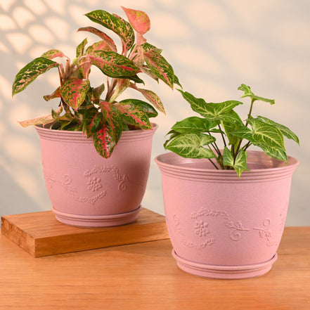 Leafy Planter 10" Set of 2