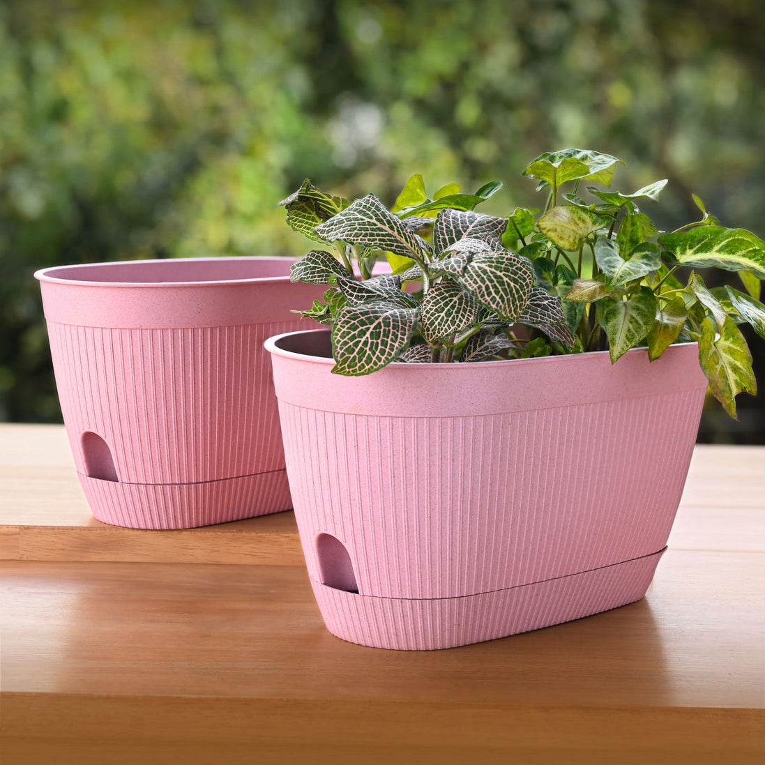 Eva Planter 11.5"-Set of 2