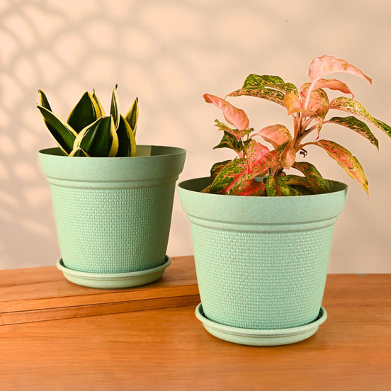 Aura Planter 10" Set of 2