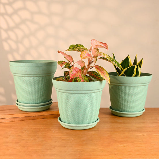 Aura Planter 10" Set of 4