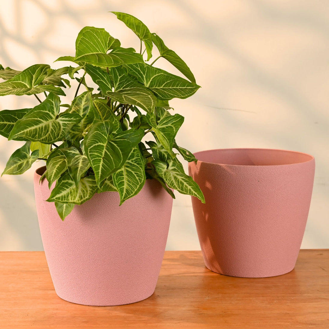 Deco Planter 9" Set of 2