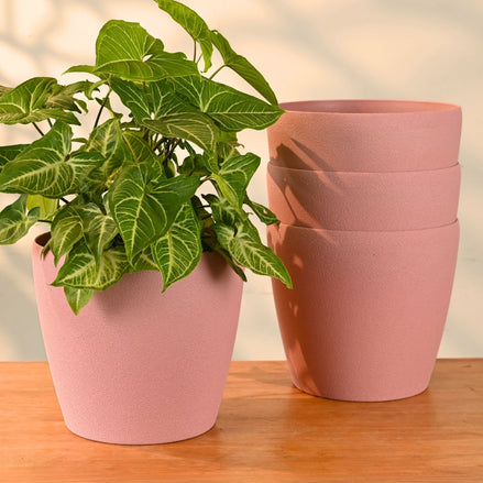 Deco Planter 9" Set of 4