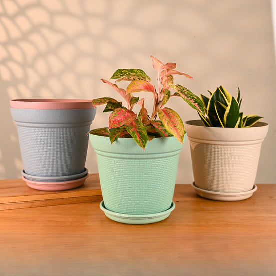 Aura Planter 10" Set of 4