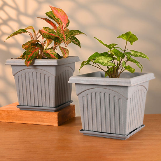 Archway Planter 10" Set of 2