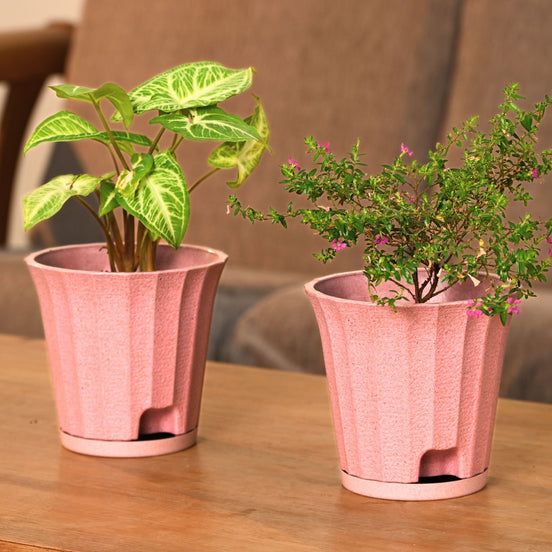 Ace Planter 5" Set of 2