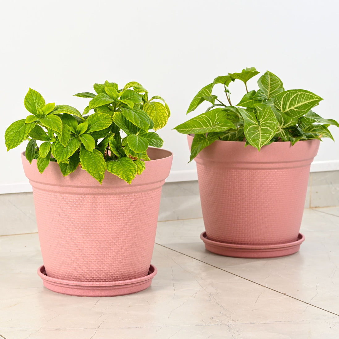 Aura Planter 12" Set of 2