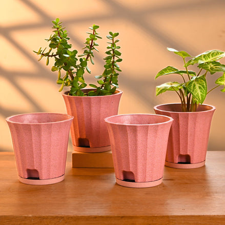 Ace Planter 5" Set of 4