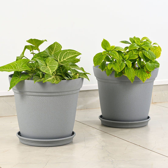 Aura Planter 12" Set of 2