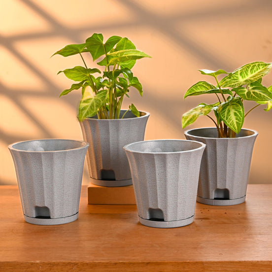 Ace Planter 5" Set of 4